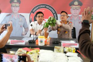 Tanggapan Polda Kalsel terhadap Kasus Mabuk Kecubung di Kalimantan Selatan