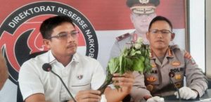 47 Orang Masuk RSJ, Polda Kalsel Tunggu Hasil Lab Kandungan Kecubung
