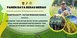 Panen Raya Beras Merah, HRB Tekat Sejahterakan Masyarakat 